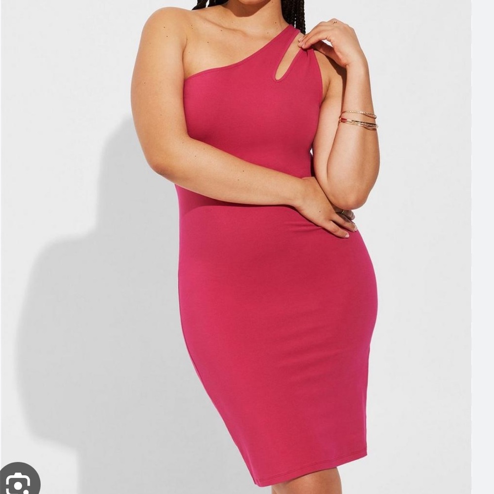 Nwot Torrid bodycon dress